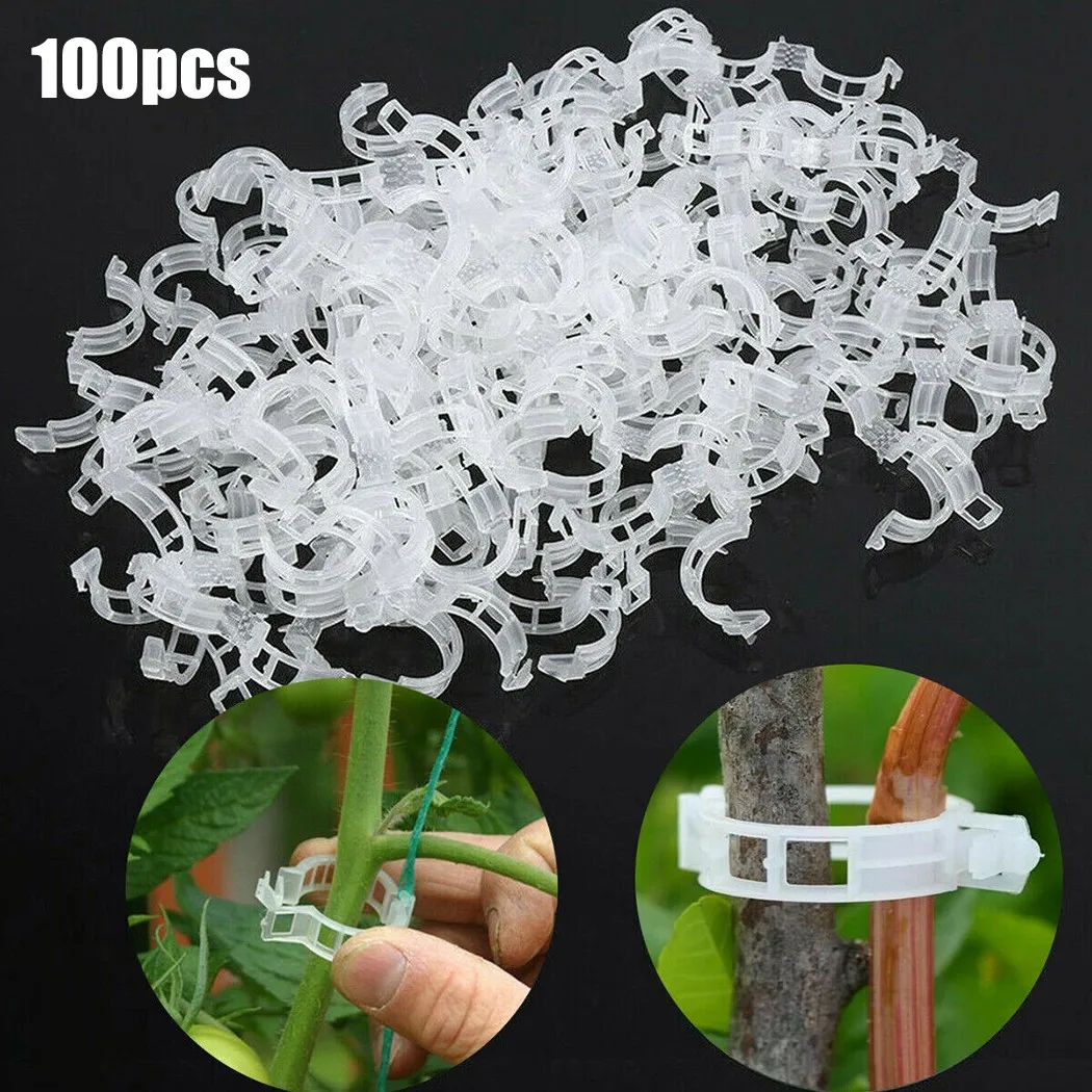 50/100pcs Plant Support Clips For Garden Tomato Vegetable Vines Upright And Make Plants Twine Clips Vine Beans Vegetables Fruits
50/100pcs Plant Support Clips For Garden Tomato Vegetable Vines Upright And Make Plants Twine Clips Vine Beans Vegetables Fruits
