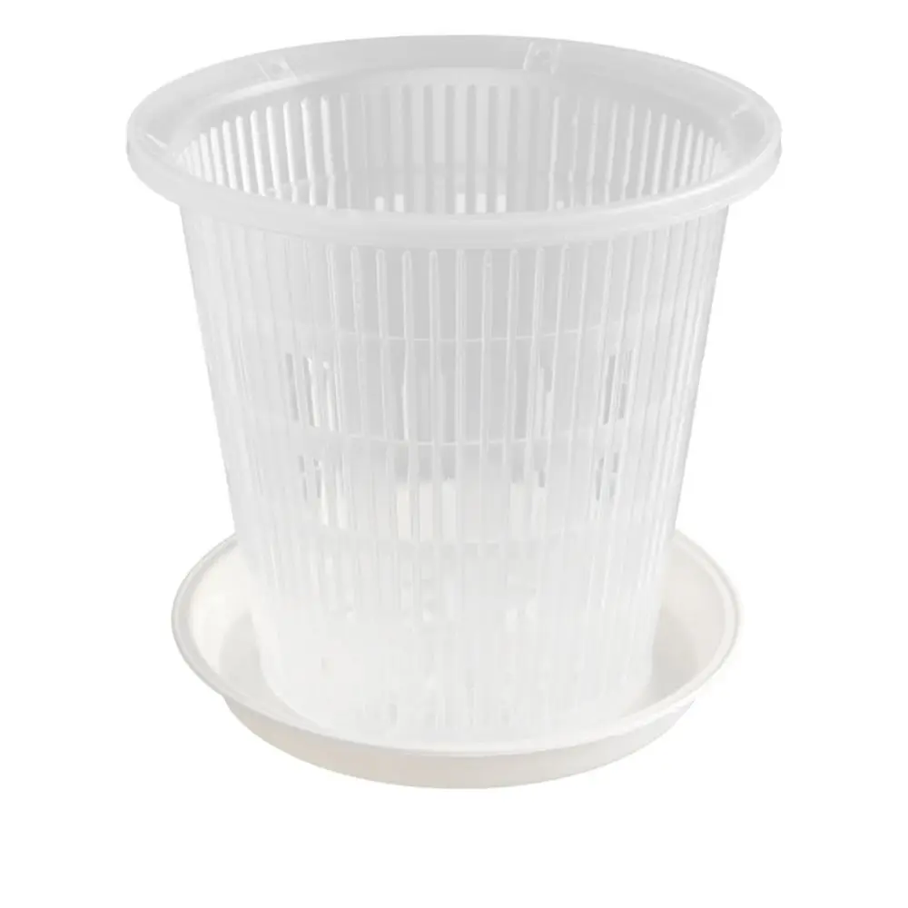 Plants Orchid For Home Decoration Home Cattleya All Kinds Plants Meshpot Plant Container Stomata Flowerpot Flowerpot
Plants Orchid For Home Decoration Home Cattleya All Kinds Plants Meshpot Plant Container Stomata Flowerpot Flowerpot