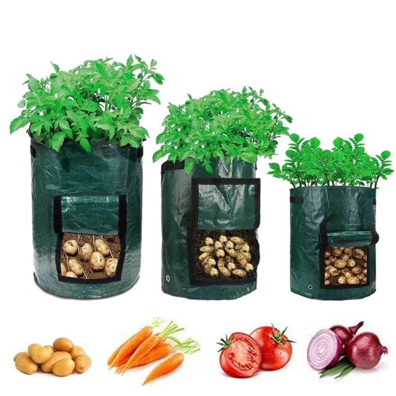 Potato Grow Bags PE Vegetable Planter Growing Bag DIY Fabric Grow Pot Outdoor Garden Pots Garden Tools Veget Garden Supplies
Potato Grow Bags PE Vegetable Planter Growing Bag DIY Fabric Grow Pot Outdoor Garden Pots Garden Tools Veget Garden Supplies