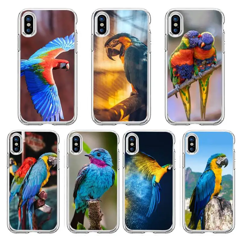 Parrot cute coloful bird animal Phone Case Transparent soft For iphone 12 11 13 7 8 6 s plus x xs xr pro max mini
Parrot cute coloful bird animal Phone Case Transparent soft For iphone 12 11 13 7 8 6 s plus x xs xr pro max mini