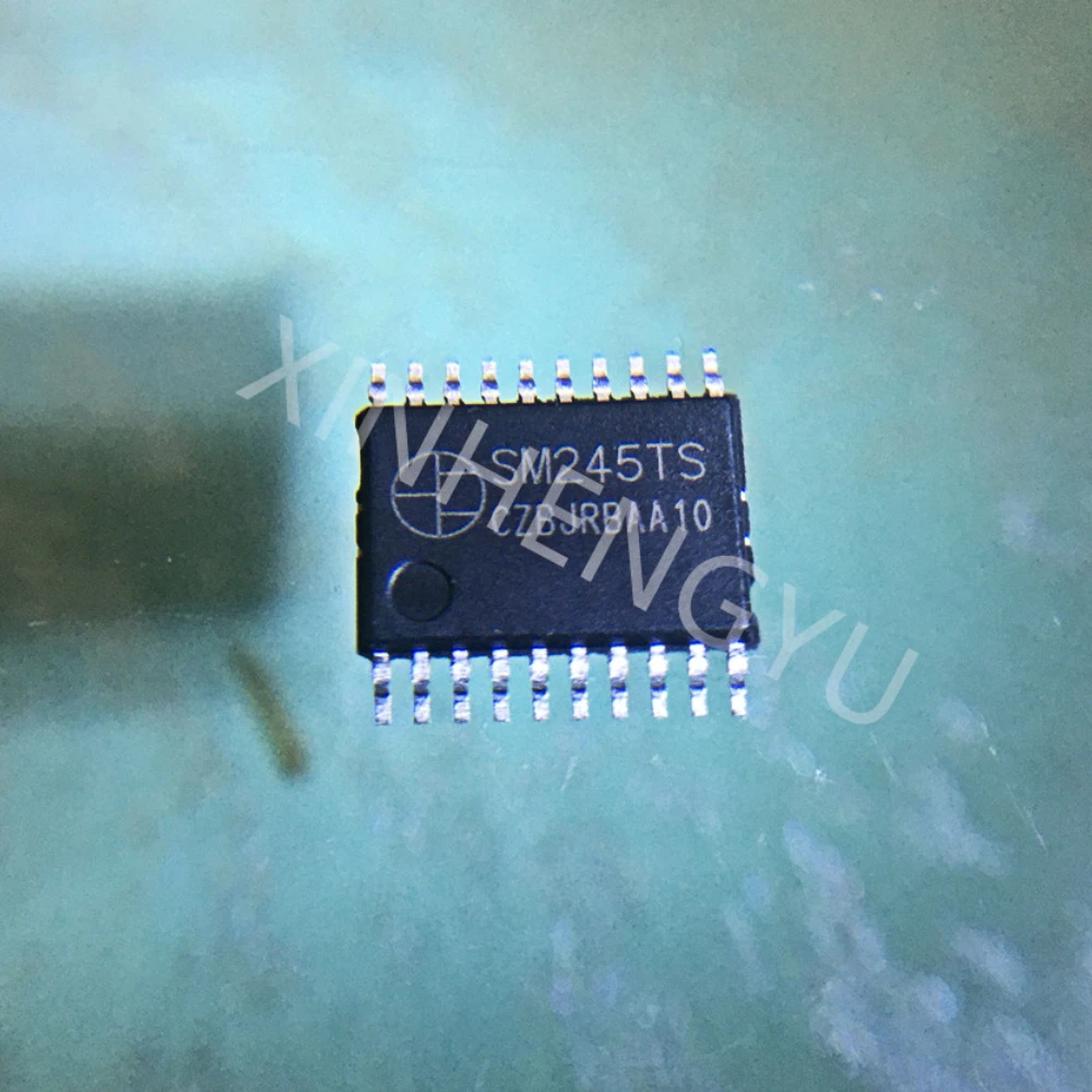 SM245 SM245TS 10-100pcs/lot TSSOP-20 New original SM driver chip ic is in stock SM245T
SM245 SM245TS 10-100pcs/lot TSSOP-20 New original SM driver chip ic is in stock SM245T