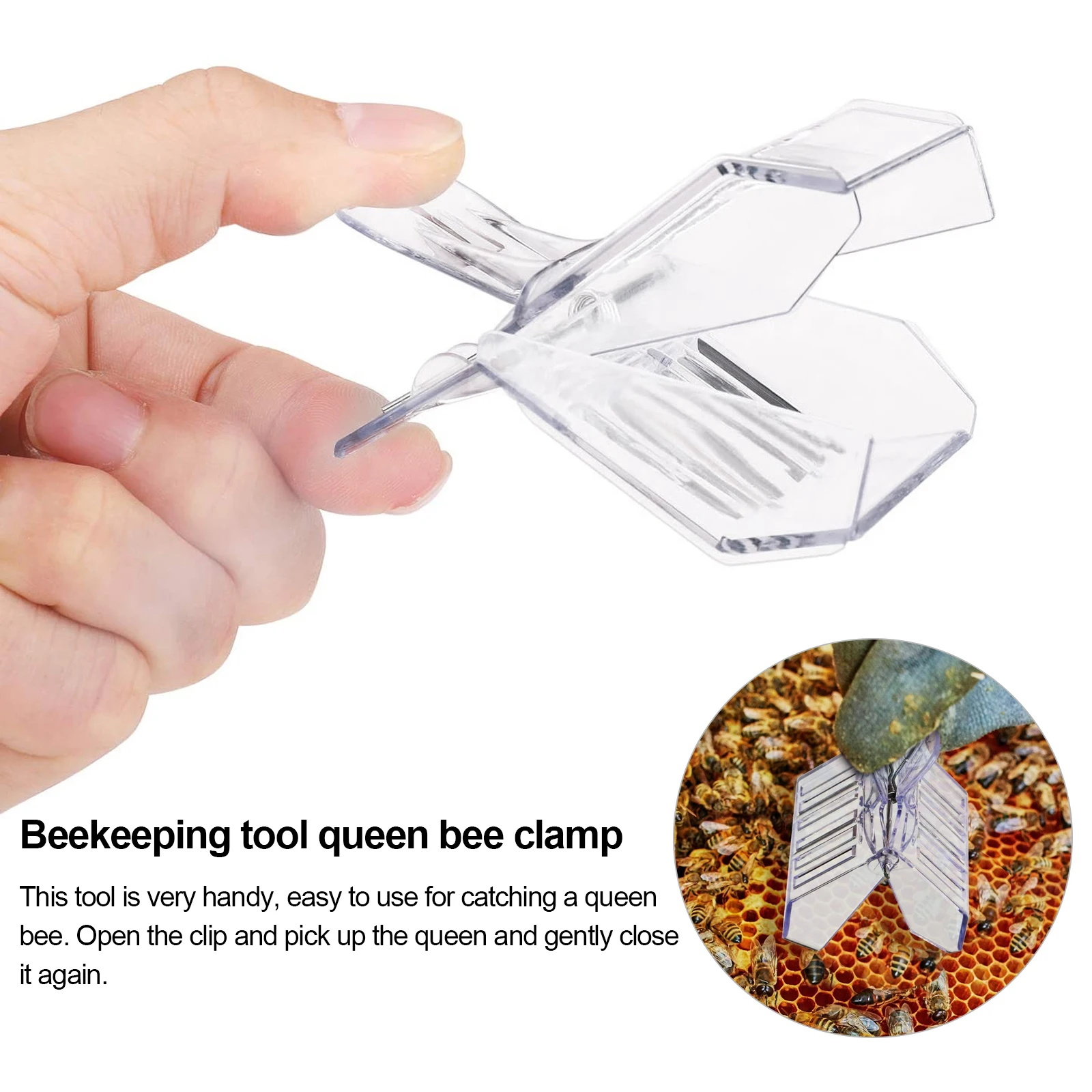 

5Pcs Transparent Queen Bee Cage Clips Bee Catcher Trap Box Plastic Queen Bee Trap Clamps Beekeeping Tool For Beekeepers