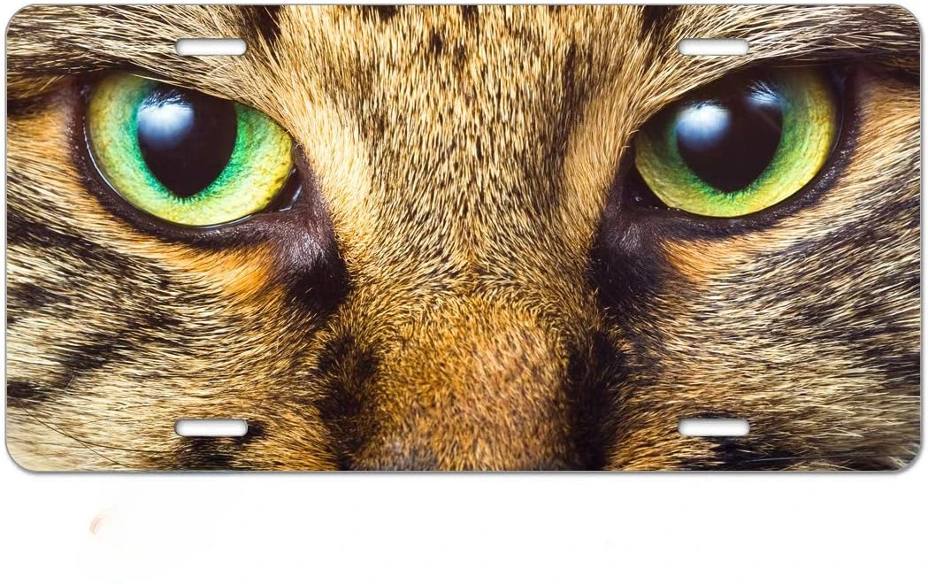 License Plate Cat Green Eyes Aluminum Metal License Plate Car Tag Novelty Home Decoration for Women Girls Men Boys 6X12 Inch
License Plate Cat Green Eyes Aluminum Metal License Plate Car Tag Novelty Home Decoration for Women Girls Men Boys 6X12 Inch