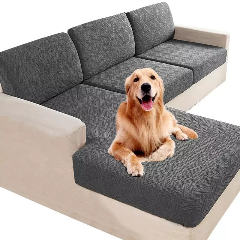 Cover 2022 Wear-Resistant High Stretch Elastic Anti-Slip Polyester Sofa Cover Sofa Slipover Couch
Cover 2022 Wear-Resistant High Stretch Elastic Anti-Slip Polyester Sofa Cover Sofa Slipover Couch