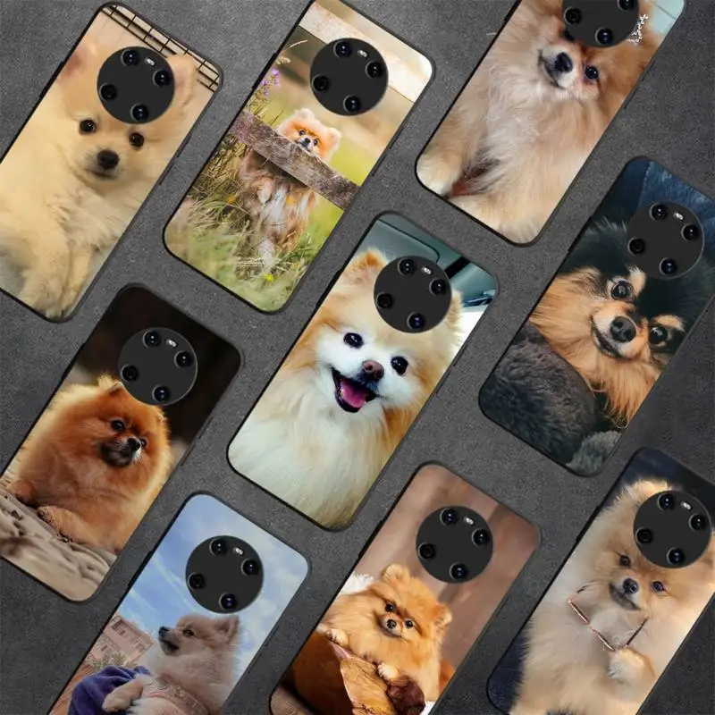 Pomeranian dog Phone Case For Y9 6 7 5 Prime Enjoy 7s 7 8 plus 7a 9e 9plus 8E Lite Psmart Shell
Pomeranian dog Phone Case For Y9 6 7 5 Prime Enjoy 7s 7 8 plus 7a 9e 9plus 8E Lite Psmart Shell