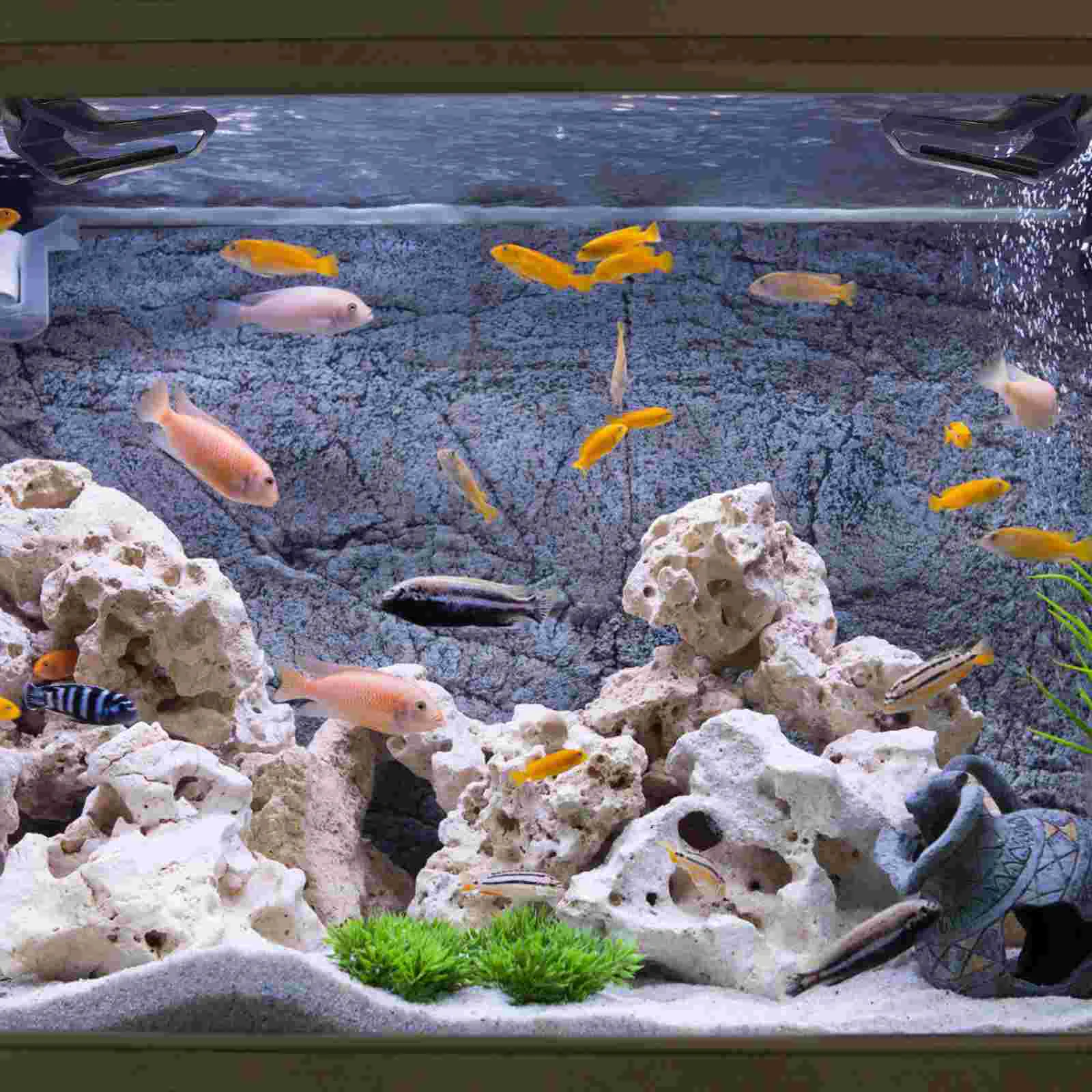 Light Fish Tank Aquarium Holder Lamp Aquatic Bracket Rack Clips Stand Led Clamp Plantwater Grasslights Lighting Accessories
Light Fish Tank Aquarium Holder Lamp Aquatic Bracket Rack Clips Stand Led Clamp Plantwater Grasslights Lighting Accessories
