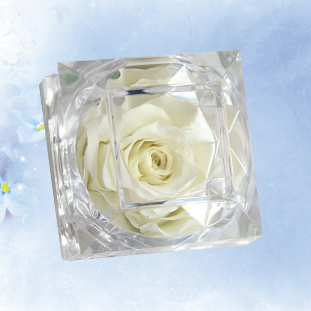 1Pcs Preserved Rose Flower with Box for Valentines Day Birthday Anniversary ( White )
1Pcs Preserved Rose Flower with Box for Valentines Day Birthday Anniversary ( White )