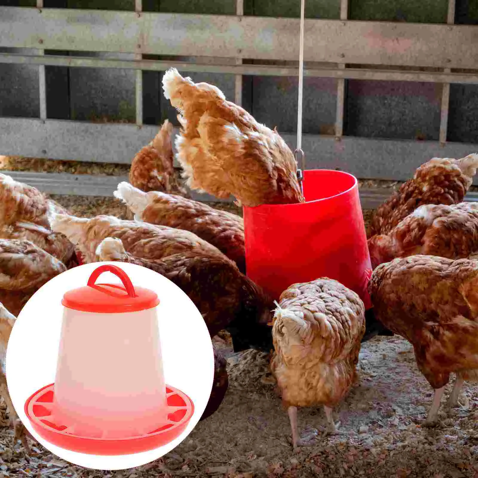 Poultry Feeder Chicken Water Drinker Waterer Feeding Automatic Cups Dispenser Bird Trough Tray Auto Container Plastic Dish
Poultry Feeder Chicken Water Drinker Waterer Feeding Automatic Cups Dispenser Bird Trough Tray Auto Container Plastic Dish