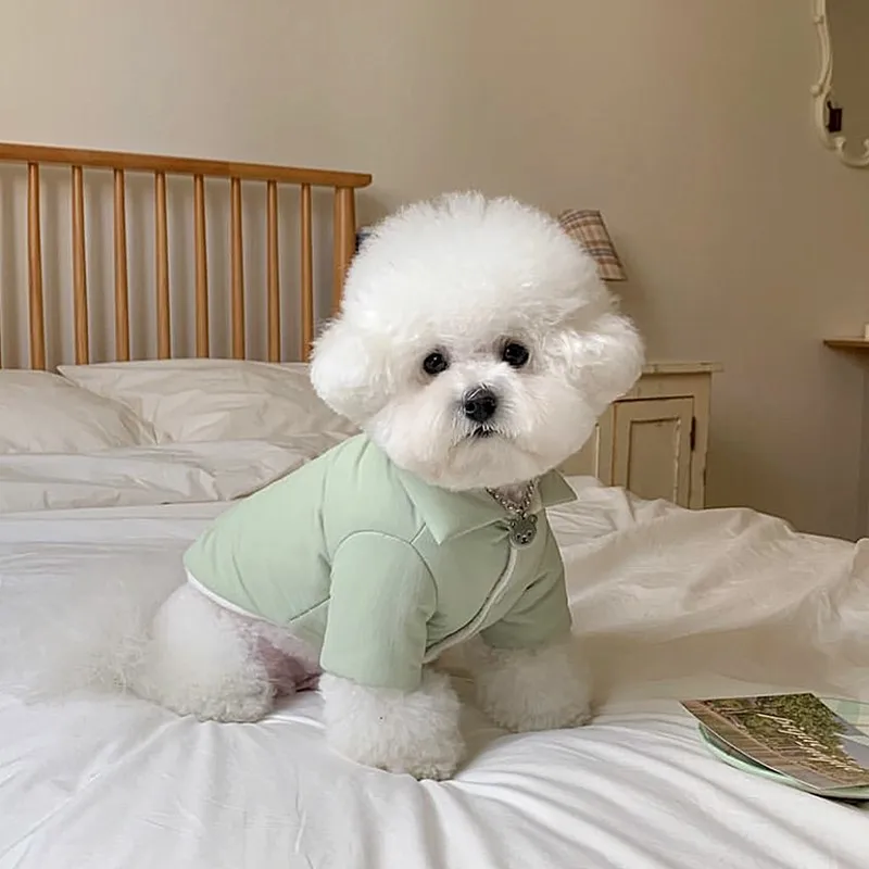Green Dog Clothes Pet Thickened Cotton Coat Winter Warm Down Jacket Solid Color Puppy Button Up Shirt With Traction Buckle
Green Dog Clothes Pet Thickened Cotton Coat Winter Warm Down Jacket Solid Color Puppy Button Up Shirt With Traction Buckle
