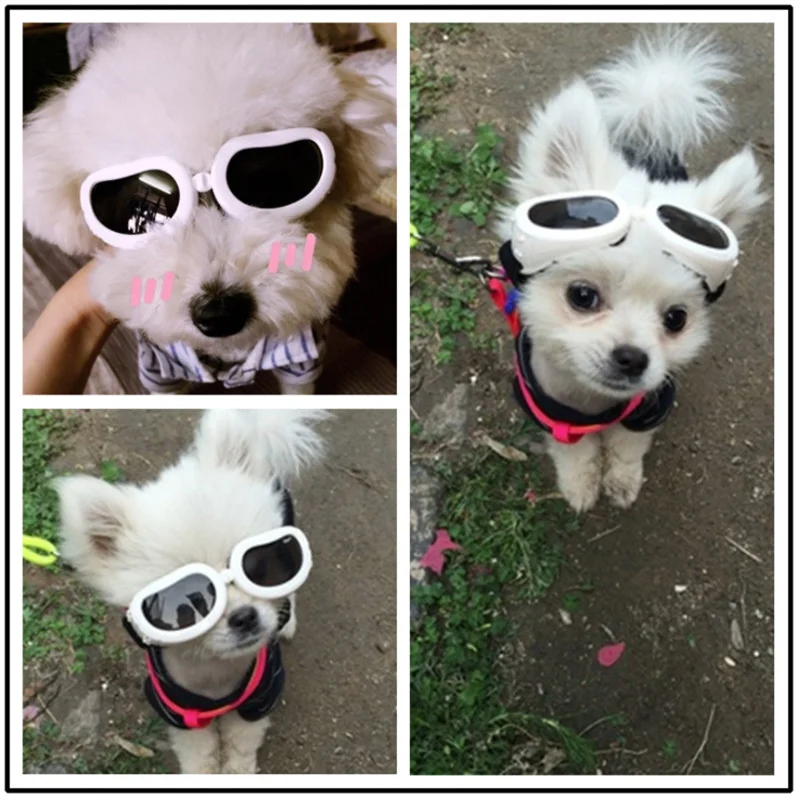 Outdoor Pet Supplies Cat Glasses Dog Goggles Sunglasses Sunscreen Cosplay Cool Pet Glasses UV Protection
Outdoor Pet Supplies Cat Glasses Dog Goggles Sunglasses Sunscreen Cosplay Cool Pet Glasses UV Protection
