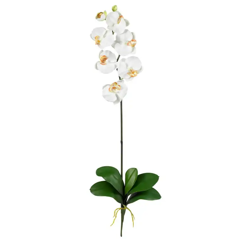 Phalaenopsis Stem Artificial Flowers (Set of 6), Beige Wedding Party Vase Home Autumn Decoration Fake Flower
Phalaenopsis Stem Artificial Flowers (Set of 6), Beige Wedding Party Vase Home Autumn Decoration Fake Flower
