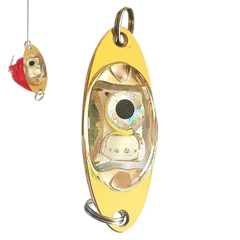 High-Quality LED Deep Drop Large Iron Plate Underwater Eye Fish Attractor Lure Light Flashing Lamp Fish Trap For Fishing
High-Quality LED Deep Drop Large Iron Plate Underwater Eye Fish Attractor Lure Light Flashing Lamp Fish Trap For Fishing