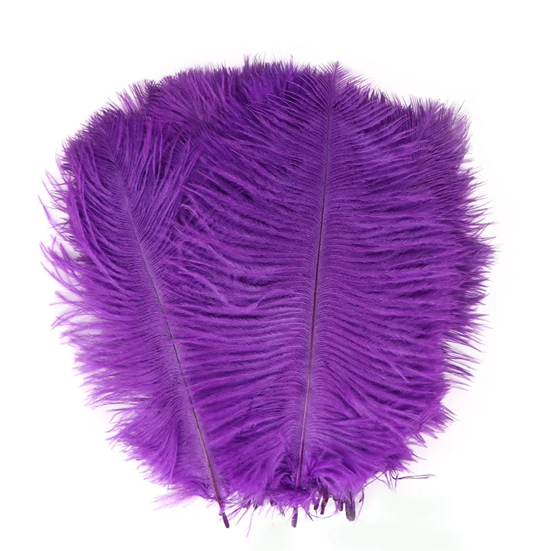 100PCS 20-25 CM 8-10" Ostrich Feather for Crafts Wedding Party Decoration Table Centerpieces Handicraft Accessories Carnival
100PCS 20-25 CM 8-10" Ostrich Feather for Crafts Wedding Party Decoration Table Centerpieces Handicraft Accessories Carnival