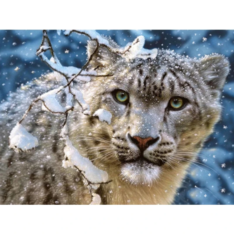Diamond Painting Animal Snow Leopard 5d Diy Mosaic Full Square Round Drill Diamant Of Rhinestone Daimond Embroidery Pictures
Diamond Painting Animal Snow Leopard 5d Diy Mosaic Full Square Round Drill Diamant Of Rhinestone Daimond Embroidery Pictures
