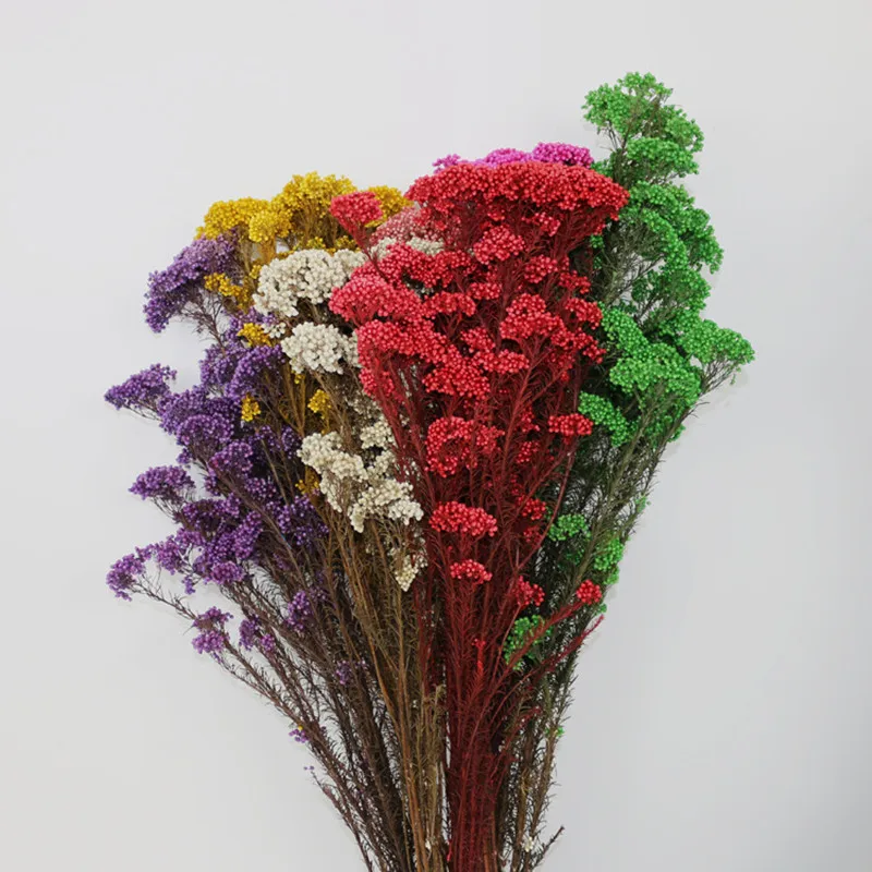 Натуральные растения 70 г/Букет свежий сохраненный цветок Mi сушеный вечный цветок для свадебной вечеринки аксессуары для украшения дома 
Натуральные растения 70 г/Букет свежий сохраненный цветок Mi сушеный вечный цветок для свадебной вечеринки аксессуары для украшения дома