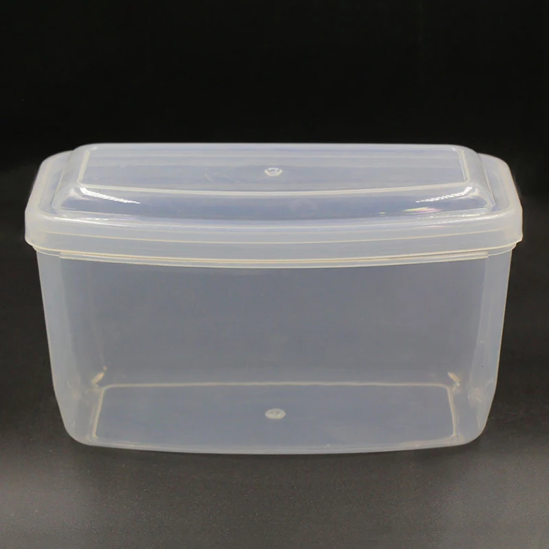 Hard Plastic Scuba Dive Diving Mask Storage Box Case Snorkeling Goggles Swim Glasses Protector Container Transparent
Hard Plastic Scuba Dive Diving Mask Storage Box Case Snorkeling Goggles Swim Glasses Protector Container Transparent