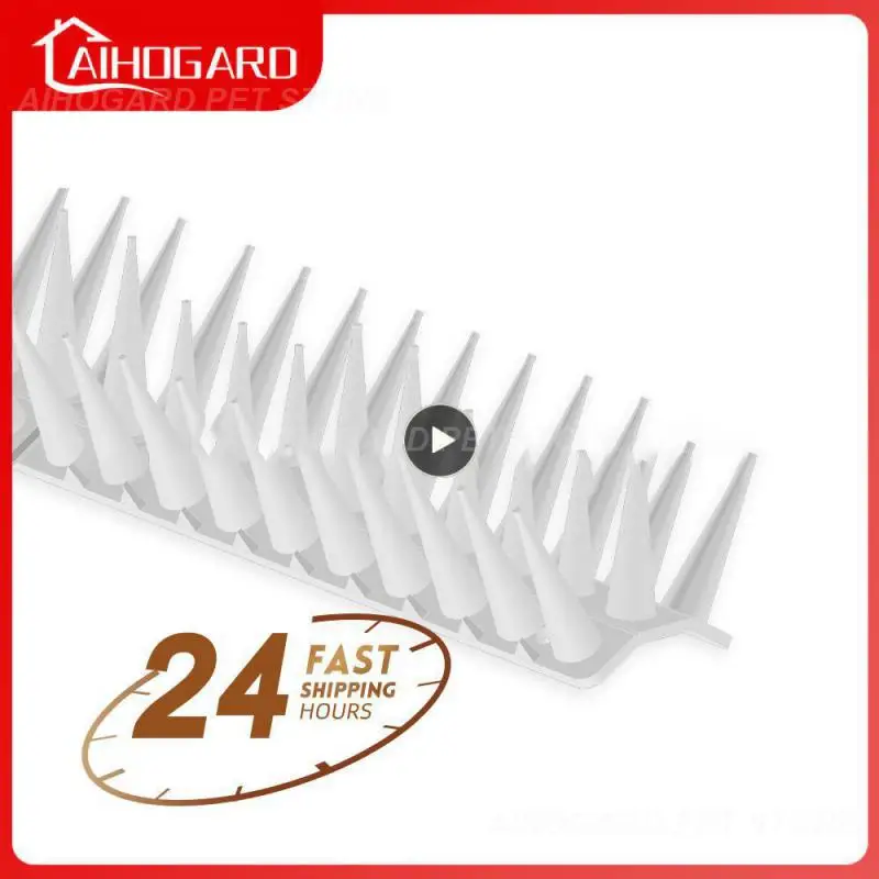 Threatening Bird Repellent Thorn Plastic Anti-bird Sting Anti-theft Sharp Thorns Anti-cat Stab Garden Supplies Bird Stab
Threatening Bird Repellent Thorn Plastic Anti-bird Sting Anti-theft Sharp Thorns Anti-cat Stab Garden Supplies Bird Stab