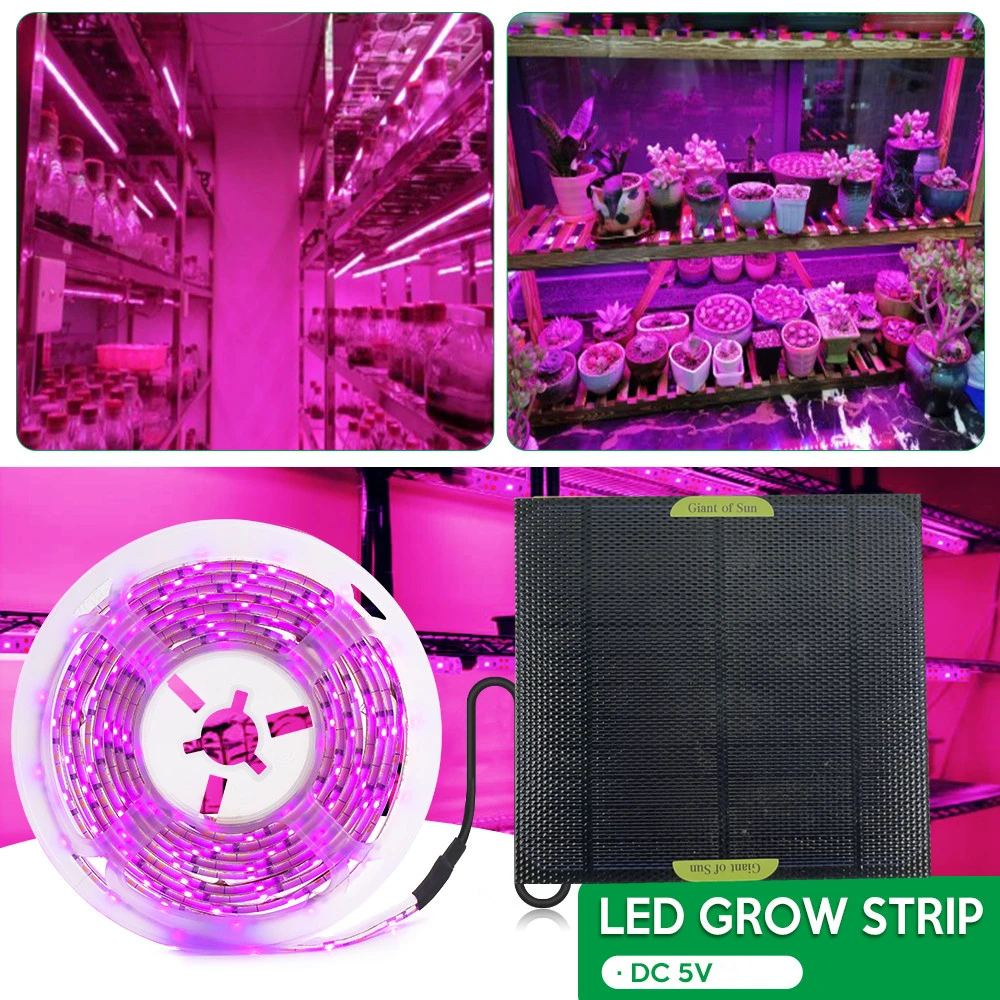 Solar LED Full Spectrum Phyto Lamp 5V Grow Light Strip 2835 Lamp Bead For Plants Flowers Greenhouse Cultivo Hydroponic Dropship
Solar LED Full Spectrum Phyto Lamp 5V Grow Light Strip 2835 Lamp Bead For Plants Flowers Greenhouse Cultivo Hydroponic Dropship