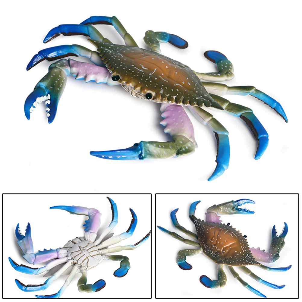 Crab Sea Animals Decorlife Modelfigurines Simulated Figurine Marine Creature Beach Coastal Educational Ornament Ocean Artificial
Crab Sea Animals Decorlife Modelfigurines Simulated Figurine Marine Creature Beach Coastal Educational Ornament Ocean Artificial