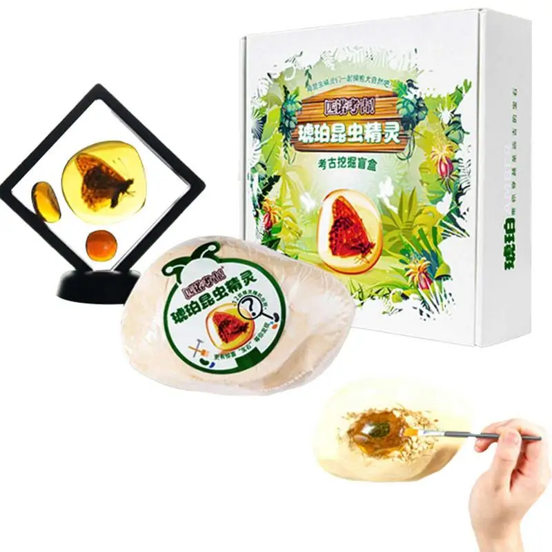 Amber Insect Kit Resin Science Toys Science Kit For Kids Stem Educational Toys Amber Learning Prop Materials Birthday Gifts
Amber Insect Kit Resin Science Toys Science Kit For Kids Stem Educational Toys Amber Learning Prop Materials Birthday Gifts