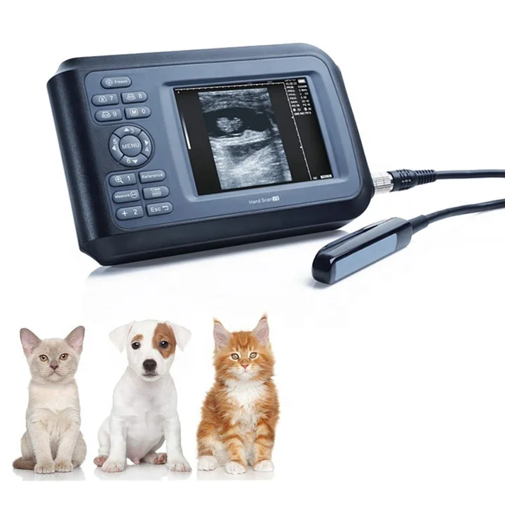 GooDoctor Handheld Vet Ultrasonic Diagnostic System High Accuracy Five Display Modes Veterinary Ultrasound Machine
GooDoctor Handheld Vet Ultrasonic Diagnostic System High Accuracy Five Display Modes Veterinary Ultrasound Machine