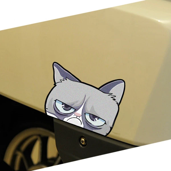 Милый Непослушный Недовольный кот Домашние животные Забавный автомобиль электрический мотоцикл декоративная наклейка водонепроницаемая
Милый Непослушный Недовольный кот Домашние животные Забавный автомобиль электрический мотоцикл декоративная наклейка водонепроницаемая