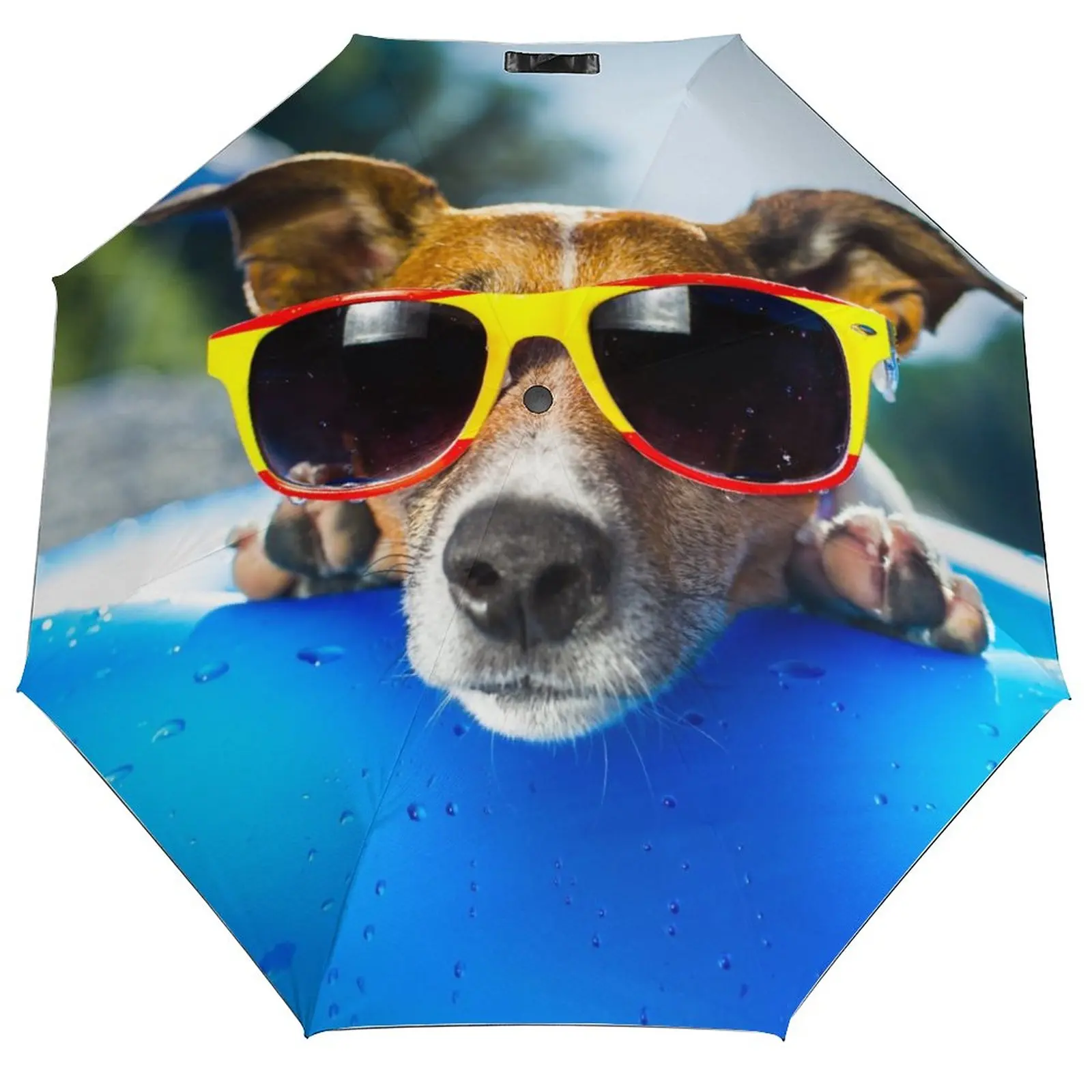 Jack Russell Terrier Printed Umbrella Rain Women Automatic Umbrella Three Folding Sun Protection Umbrella Male Portable Parasol
Jack Russell Terrier Printed Umbrella Rain Women Automatic Umbrella Three Folding Sun Protection Umbrella Male Portable Parasol