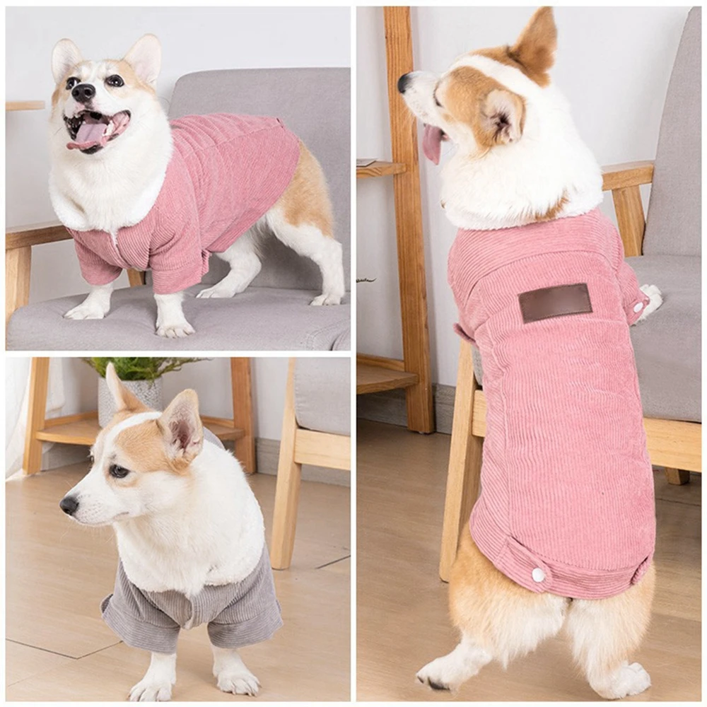 Dog Winter Coat Warm Dog Fleece Jacket Soft Cold Weather Dog Clothes Pet Apparel for Small Medium Dogs
Dog Winter Coat Warm Dog Fleece Jacket Soft Cold Weather Dog Clothes Pet Apparel for Small Medium Dogs