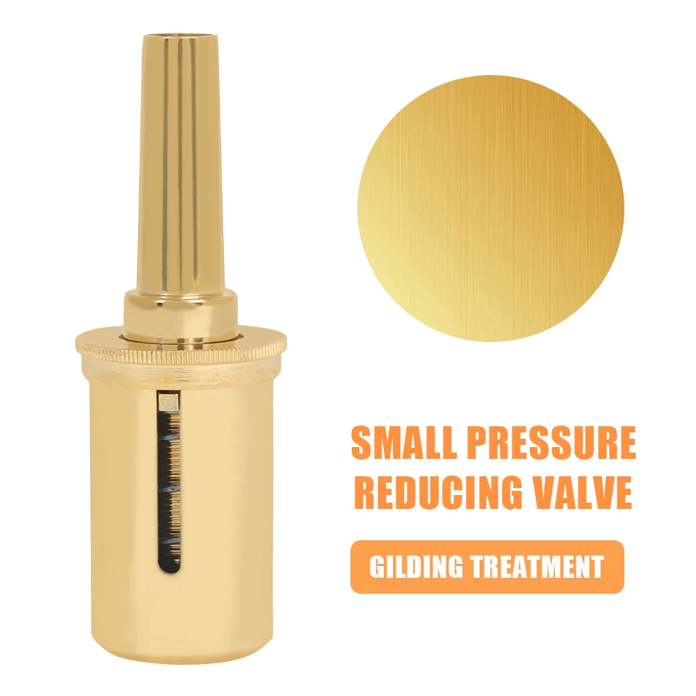 Correction Assistant Tool Adjustable Trumpet Pressure Reducing Valve for Beginners and Professional Players
Correction Assistant Tool Adjustable Trumpet Pressure Reducing Valve for Beginners and Professional Players