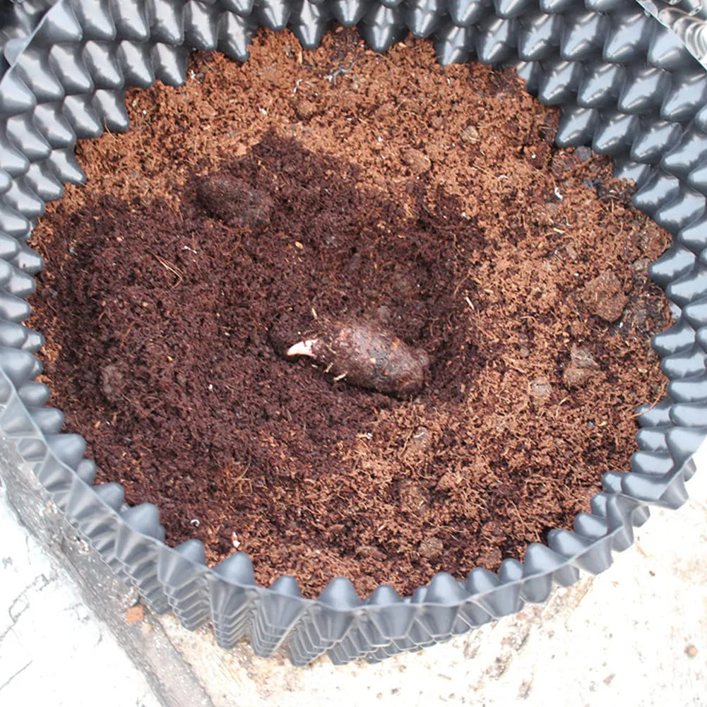 New Durable Grow Bags Pot Garden Germination Greenhouse Nursery Pots PVC Plants Transplant Cuttings Recyclable
New Durable Grow Bags Pot Garden Germination Greenhouse Nursery Pots PVC Plants Transplant Cuttings Recyclable