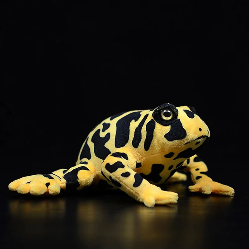 Cute Poisondartfrog Realistic Stuffed Plush Toy Simulation Poison Dart Frogs Dendrobatidae Soft Animal Doll Birthday Kids Gift 
Cute Poisondartfrog Realistic Stuffed Plush Toy Simulation Poison Dart Frogs Dendrobatidae Soft Animal Doll Birthday Kids Gift