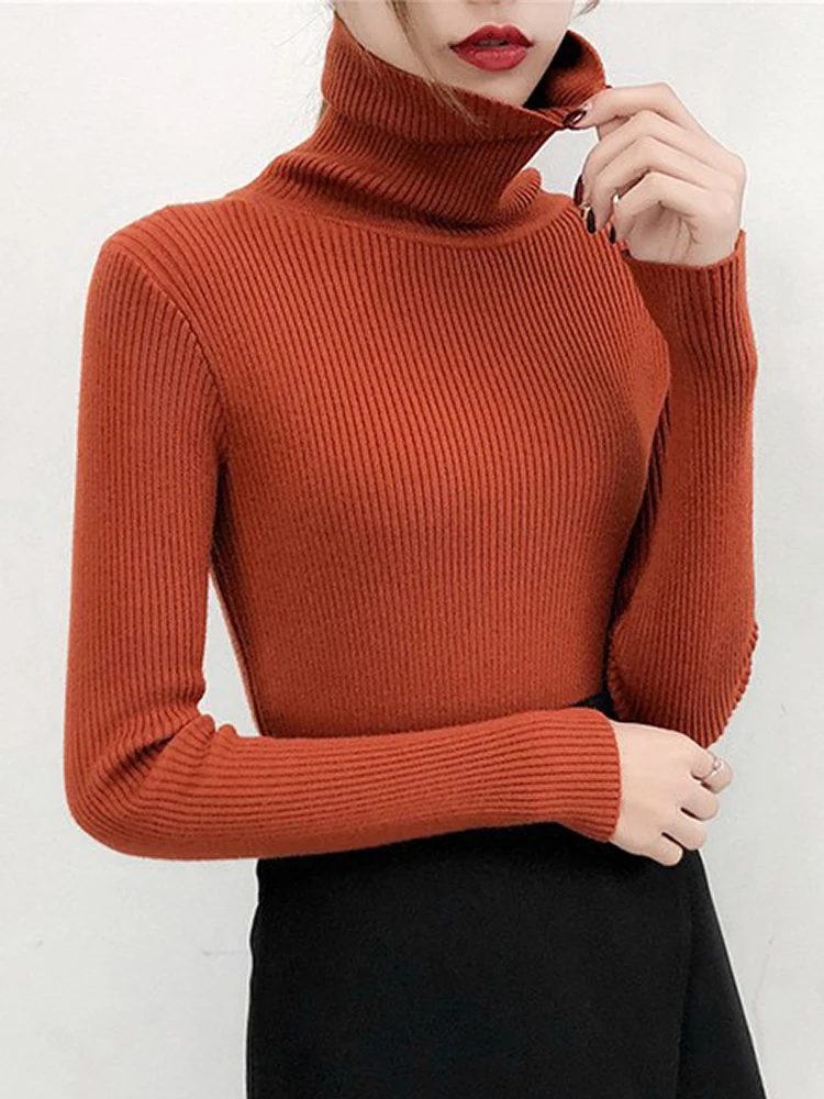 VIIANLES Spring Slim Solid Pullover Colors Women Autumn Turtleneck KnitwearSweaters Ladies Basic Top Casual Soft Sweater Warm
VIIANLES Spring Slim Solid Pullover Colors Women Autumn Turtleneck KnitwearSweaters Ladies Basic Top Casual Soft Sweater Warm
