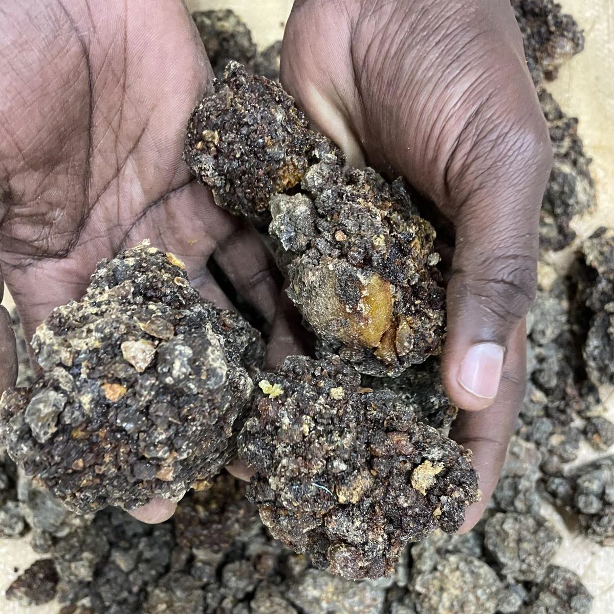 100% Authentic Somali Myrrh Resin (Hargr)High Quality Myrrh Gum Resin Medicinal Herbs Home Fragrance In Stock
100% Authentic Somali Myrrh Resin (Hargr)High Quality Myrrh Gum Resin Medicinal Herbs Home Fragrance In Stock