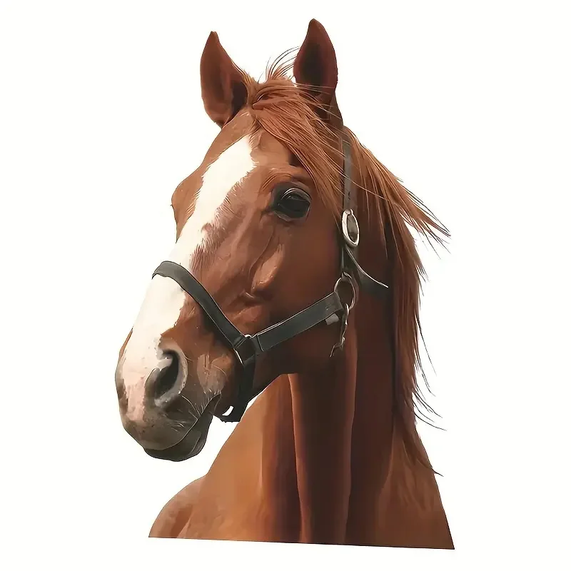 Набор наклеек для унитаза "Красивая лошадь"
Набор наклеек для унитаза "Красивая лошадь"