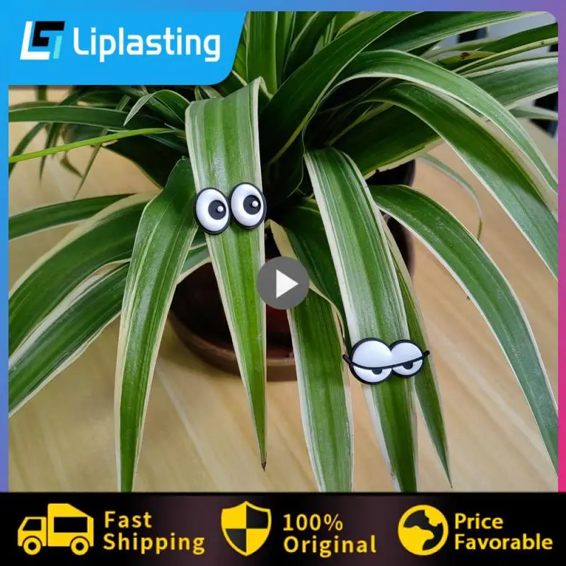 Potted Plant Light Weight Unique Gift Strong Magnet Eye Insect Water Proof Lovely Plant Leaves Magnet Decoration Magnet Eyes
Potted Plant Light Weight Unique Gift Strong Magnet Eye Insect Water Proof Lovely Plant Leaves Magnet Decoration Magnet Eyes