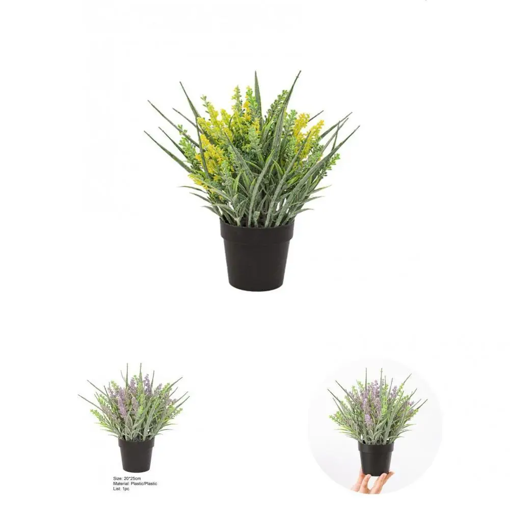 Special Simulation Bonsai Decorative Plastic Fresh Keeping Fake Lavender Bonsai Artificial Plant Simulation Bonsai
Special Simulation Bonsai Decorative Plastic Fresh Keeping Fake Lavender Bonsai Artificial Plant Simulation Bonsai