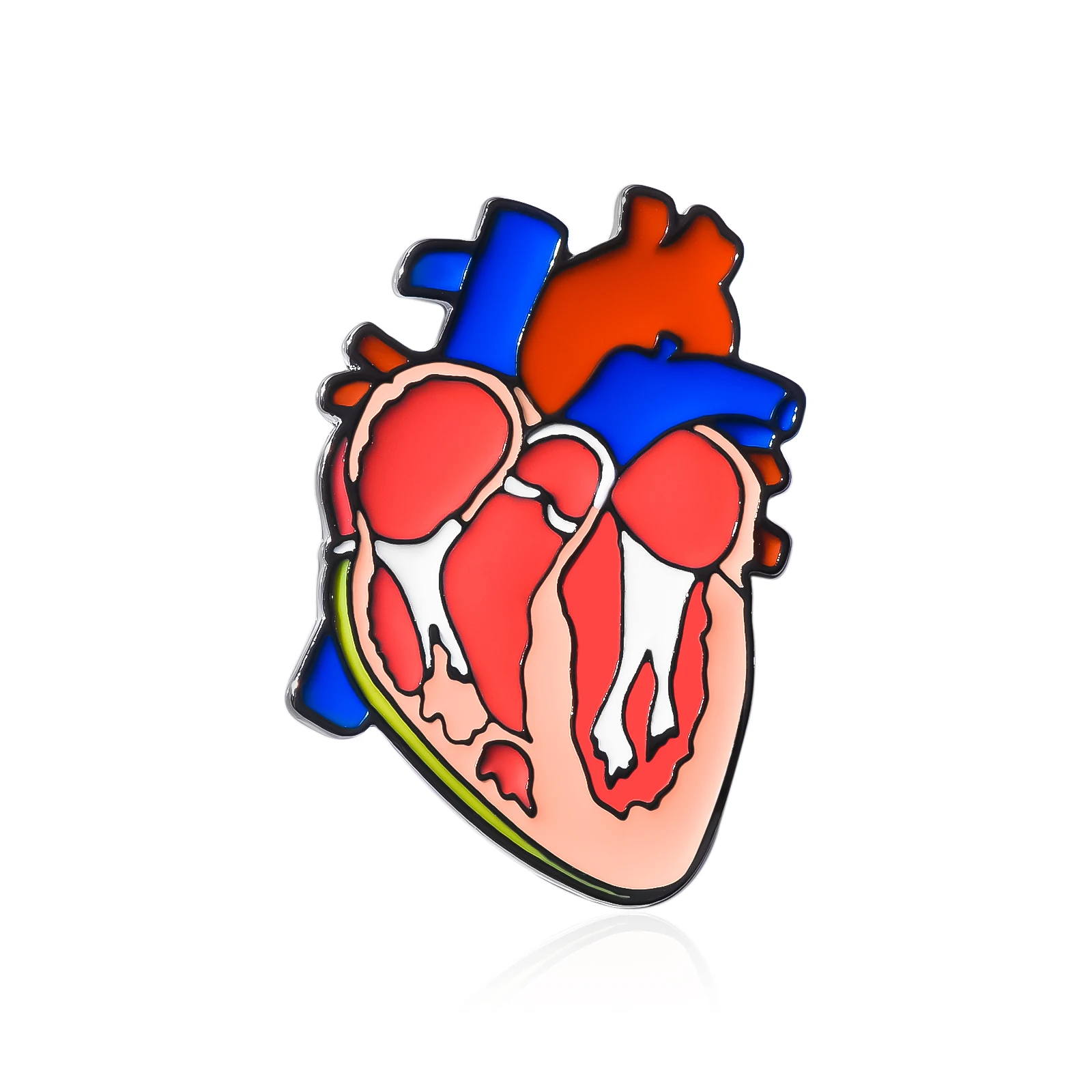 

Colorful Anatomy Heart Organ Brooch Medical Enamel Lapel Backpack Badge Pins Jewelry Gift for Doctor Nurse Collection