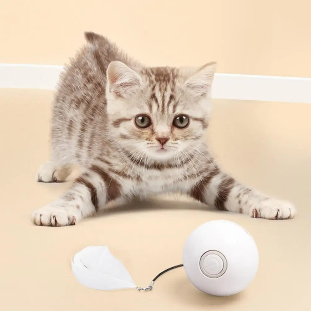 Игрушка-тизер для кошек Прочный Электрический мяч для кошек, Умная игрушка для кошек, Многофункциональная игрушка для кошек, светящаяся игр...
Игрушка-тизер для кошек Прочный Электрический мяч для кошек, Умная игрушка для кошек, Многофункциональная игрушка для кошек, светящаяся игр...