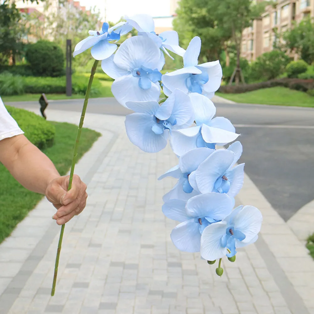 10 Heads Artificial Butterfly Orchid Flowers Fake Moth Orchids Flowers For Wedding Christmas Festival Home Decor Party Ornaments
10 Heads Artificial Butterfly Orchid Flowers Fake Moth Orchids Flowers For Wedding Christmas Festival Home Decor Party Ornaments