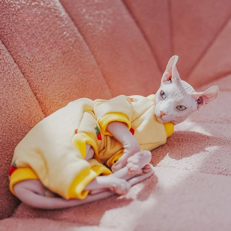 

Cat Clothes Sphynx Cotton Coat Long sleeves Soft thick Undershirt for Kittens Dogs Devon Rex Cute four-legged Jumpsuit in Winter