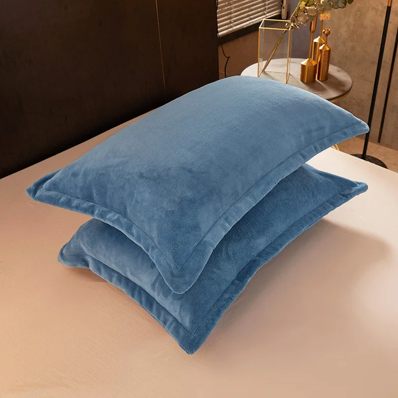 2pcs Plush Pillowcase Coral Plush Winter Warm Pillowcase 48x74cm Zipper Pillowcase
2pcs Plush Pillowcase Coral Plush Winter Warm Pillowcase 48x74cm Zipper Pillowcase