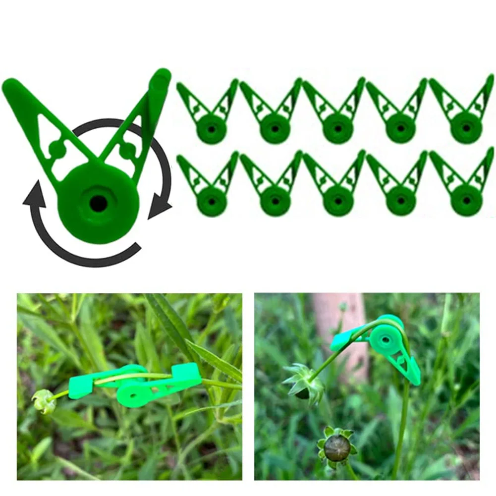 10×360° Adjustable Plant Bender Clip For Low Stress Plant Training Garden Holder Plant Care Light Training Plant Growth Button
10×360° Adjustable Plant Bender Clip For Low Stress Plant Training Garden Holder Plant Care Light Training Plant Growth Button