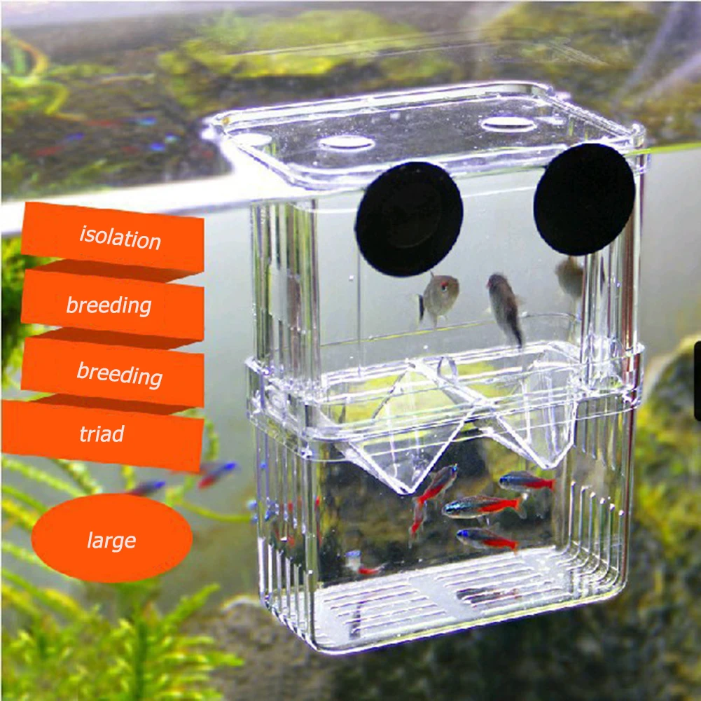 Acrylic Fish Tank Breeding Box Isolation Aquarium Accessories Hatching Incubator Multifunctional Transparent Insulation Box
Acrylic Fish Tank Breeding Box Isolation Aquarium Accessories Hatching Incubator Multifunctional Transparent Insulation Box