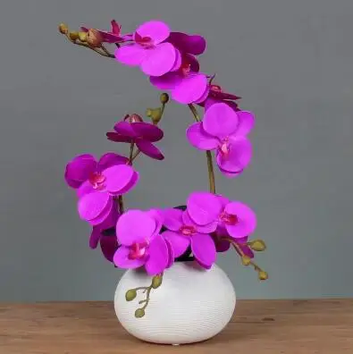 Керамическая ваза с орхидеей-бабочкой
Керамическая ваза с орхидеей-бабочкой