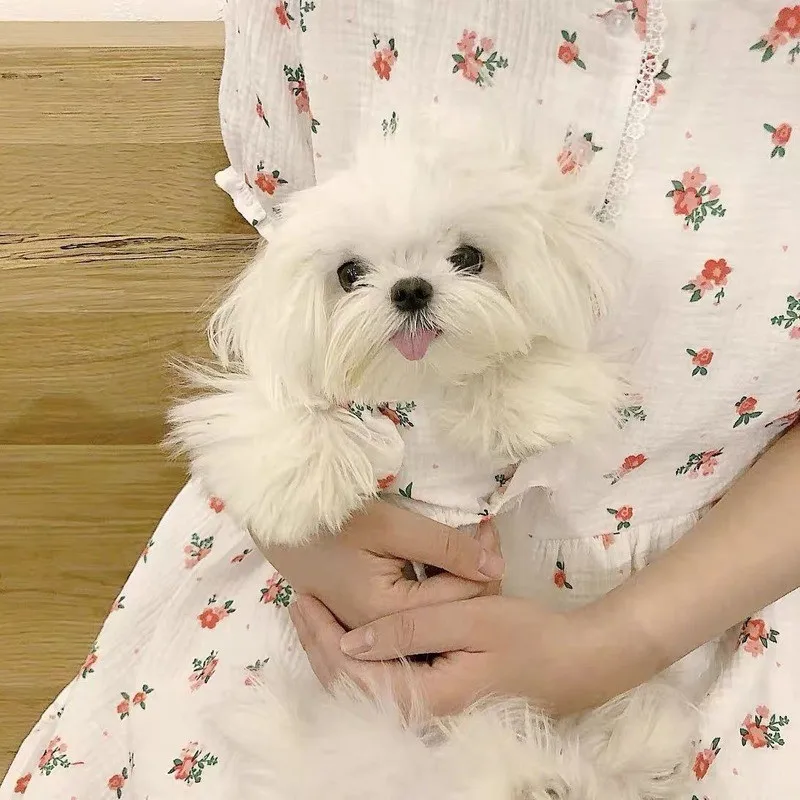 Summer Sweet Dogs Clothes Printing Lace Pet Dogs Dress Skirt Cotton Puppy For Small Medium Dogs Princess Dress Yorkshire Perro
Summer Sweet Dogs Clothes Printing Lace Pet Dogs Dress Skirt Cotton Puppy For Small Medium Dogs Princess Dress Yorkshire Perro