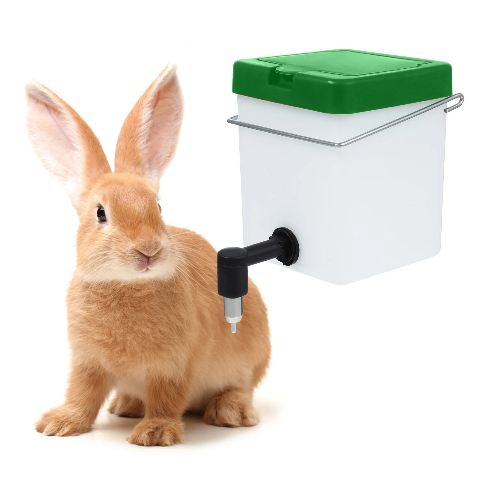 Guinea Water Bottle No Drip Guinea Water Bottle Plastic Bunny Drinking Equipment Pet Supplies
Guinea Water Bottle No Drip Guinea Water Bottle Plastic Bunny Drinking Equipment Pet Supplies