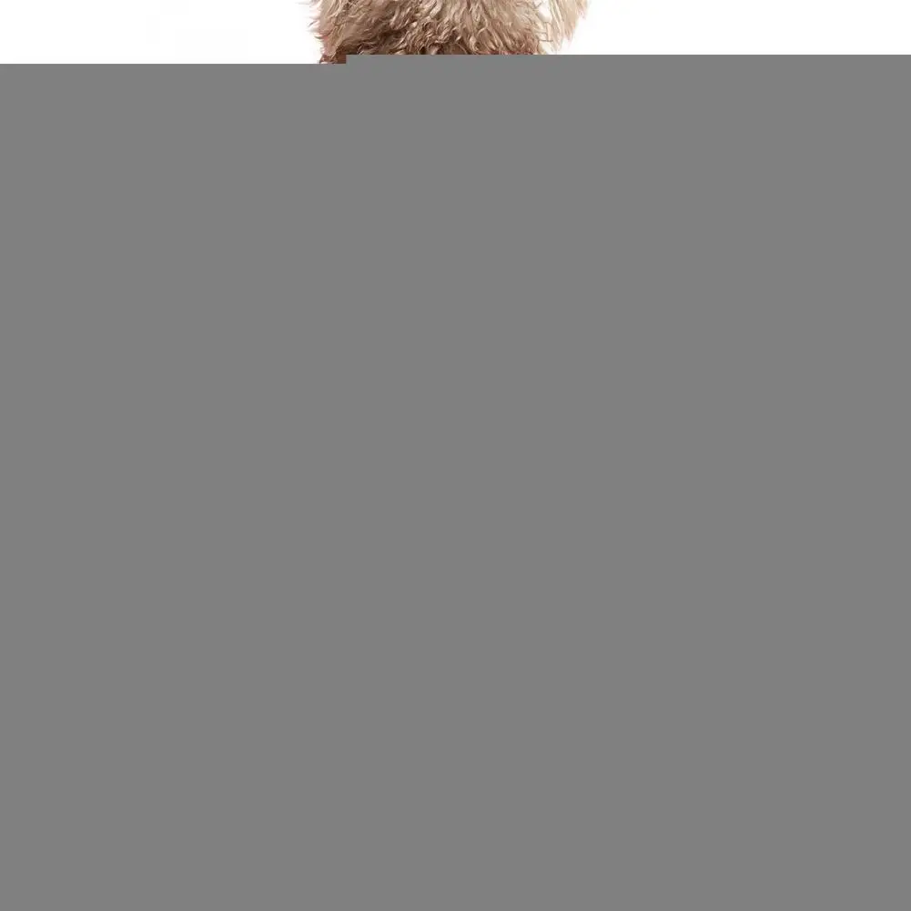 Dog Clothing Lovely Pet Outfits Pet Ethnic Style Skirt Pet Supplies Dog Dress Tear Resistant for Kitty
Dog Clothing Lovely Pet Outfits Pet Ethnic Style Skirt Pet Supplies Dog Dress Tear Resistant for Kitty