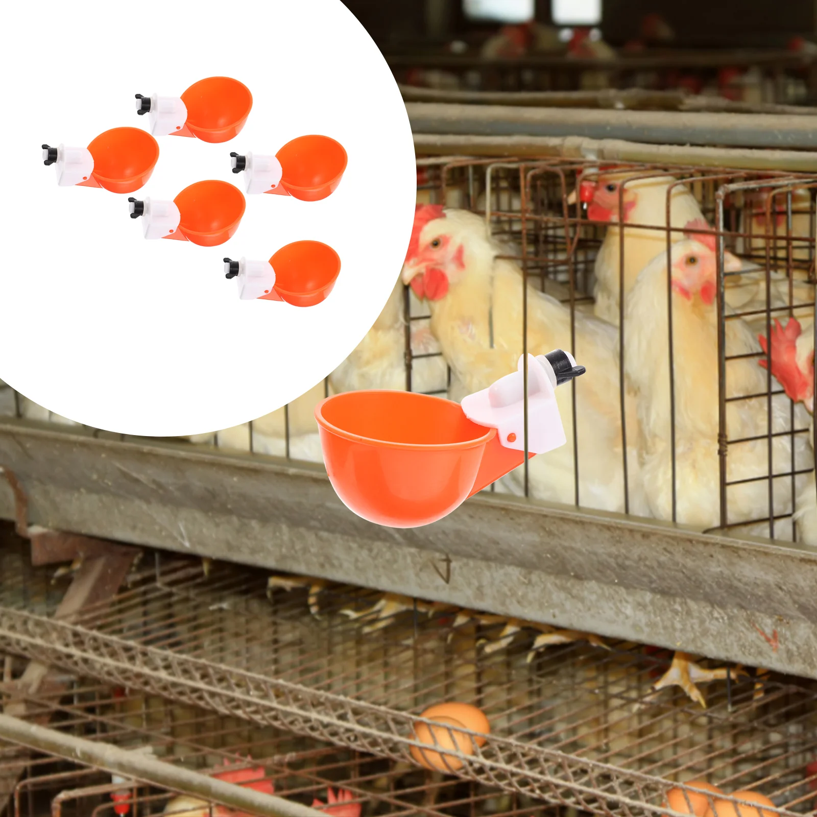 Water Chicken Poultry Waterer Cups Automatic Feeder Bowl Drinker Chick Watering Cup Duck Pigeonfeeding Container Quail Supply
Water Chicken Poultry Waterer Cups Automatic Feeder Bowl Drinker Chick Watering Cup Duck Pigeonfeeding Container Quail Supply