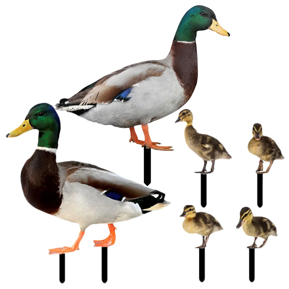 6 Pcs Garden Decoration Insert Acrylic Duck Stake Lawn Out Door Ornament Decorative Outdoor Yards
6 Pcs Garden Decoration Insert Acrylic Duck Stake Lawn Out Door Ornament Decorative Outdoor Yards