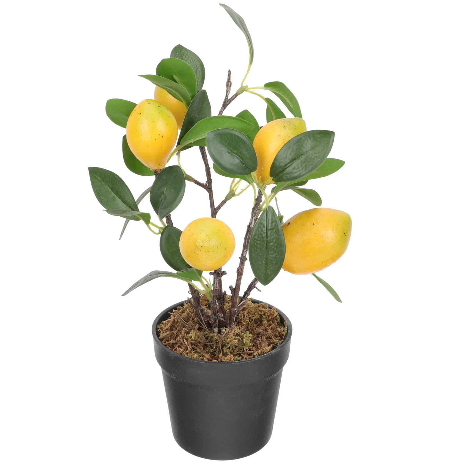 Lemon Kitchen Decor Home Décor Fruit Tree Artificial Bonsai Fake Yellow Lemons Potted Plants
Lemon Kitchen Decor Home Décor Fruit Tree Artificial Bonsai Fake Yellow Lemons Potted Plants